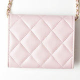 Chanel Chain Wallet Pouch CHANEL AP2138B05437 Matelasse Caviar Skin Baby Pink